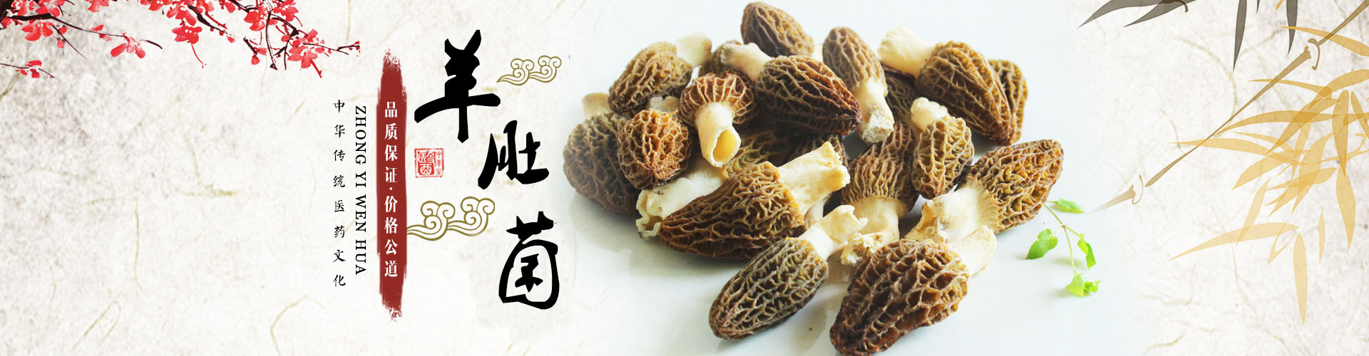 湖南金芙農(nóng)業(yè)科技有限公司_羊肚菌|蛹蟲草鮮品|蛹蟲草干品|蟲草超微粉|蟲草酒哪里好
